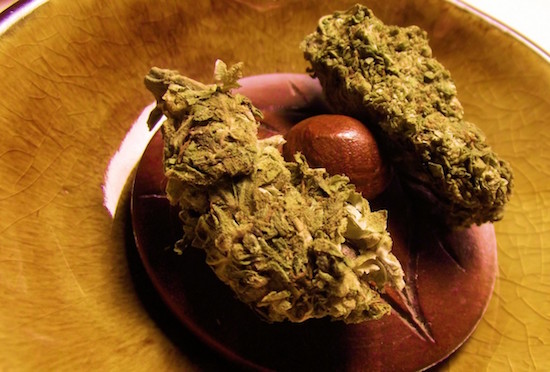 marijuana_cannabis_active_ingredients_thc_cbd_medicinal_vs_recreational