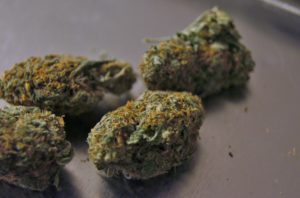 marijuana-nugs